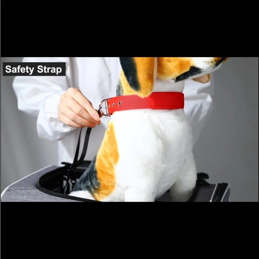 Petskd Pet Travel Carrier Bag for Small Dogs & Cats Airline’s Approved 17x11x9.5